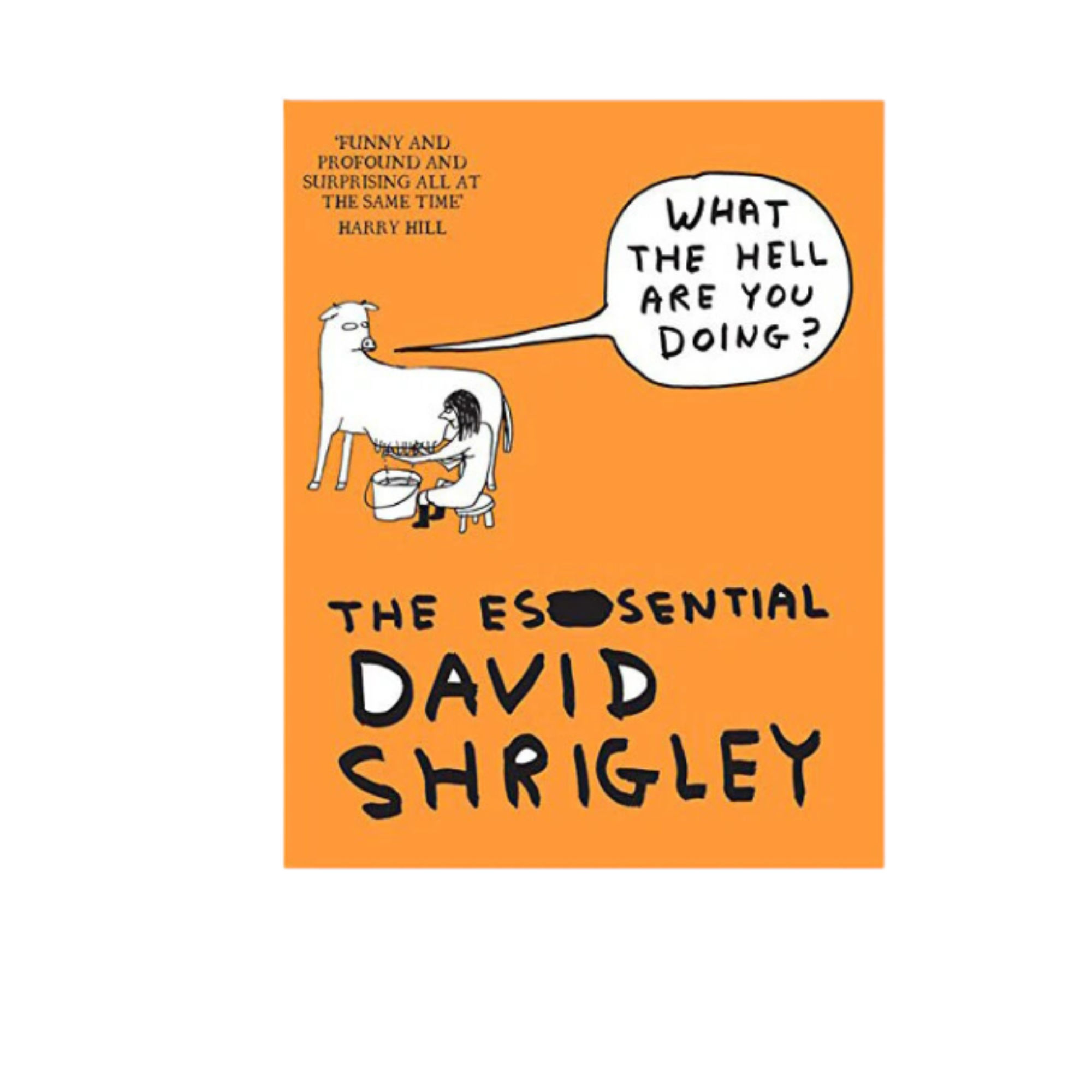 David Shrigley What the Hell? Book