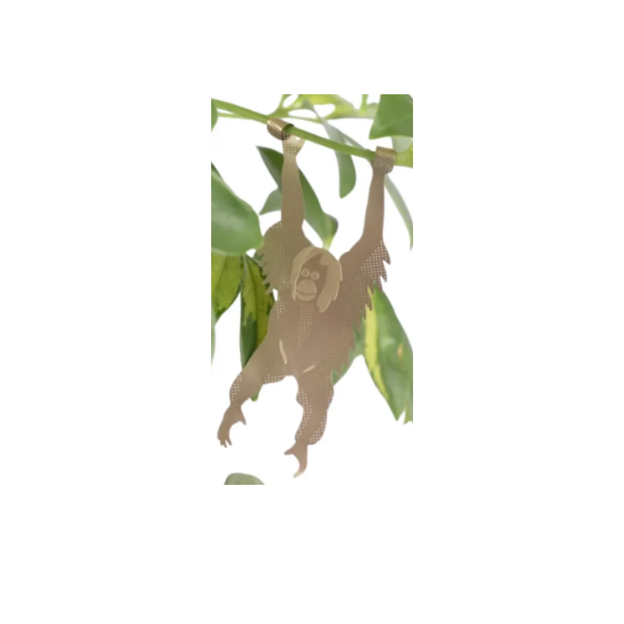 plant hanging animals Plant Animals – Baltic Shop