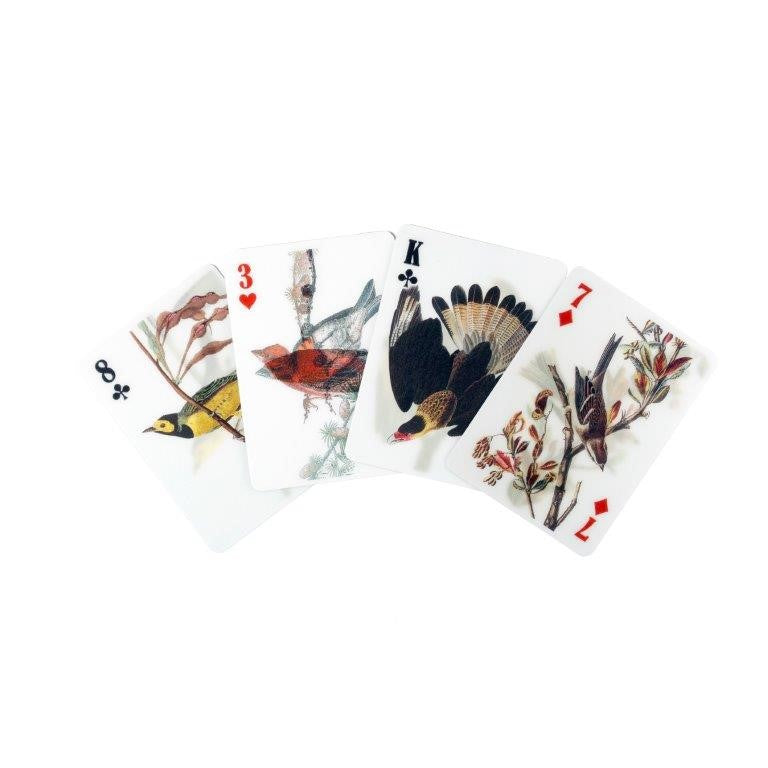 3D Birds Playing Cards