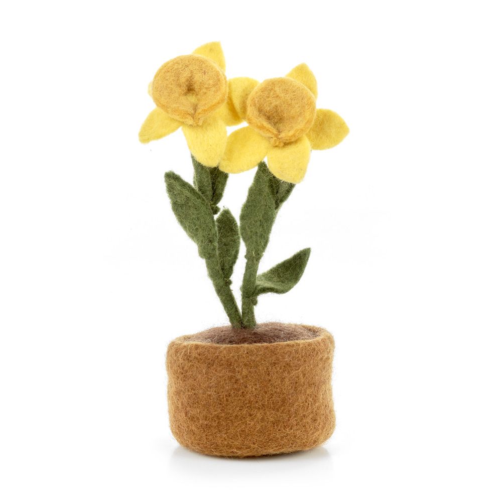 Felt So Good Daffodil Plant