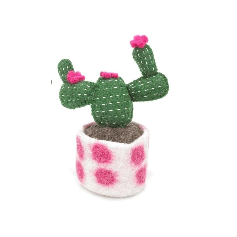 Opuntia Felt Cactus Pink Spotty Bottom