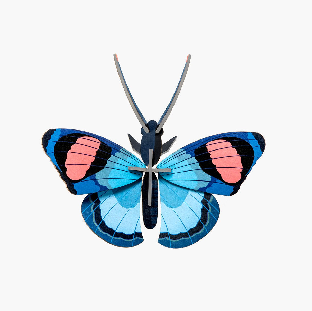 Studio Roof Peacock Butterfly Wall Decor