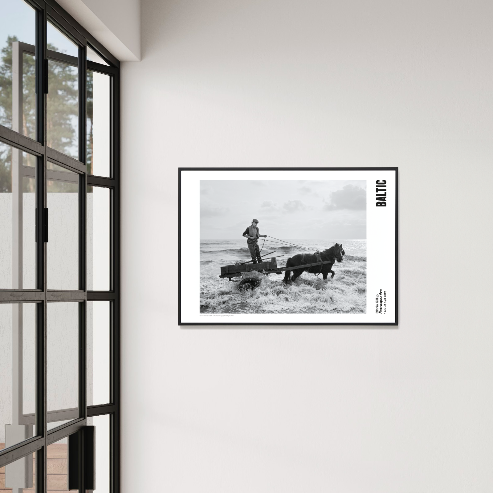 From the galleries