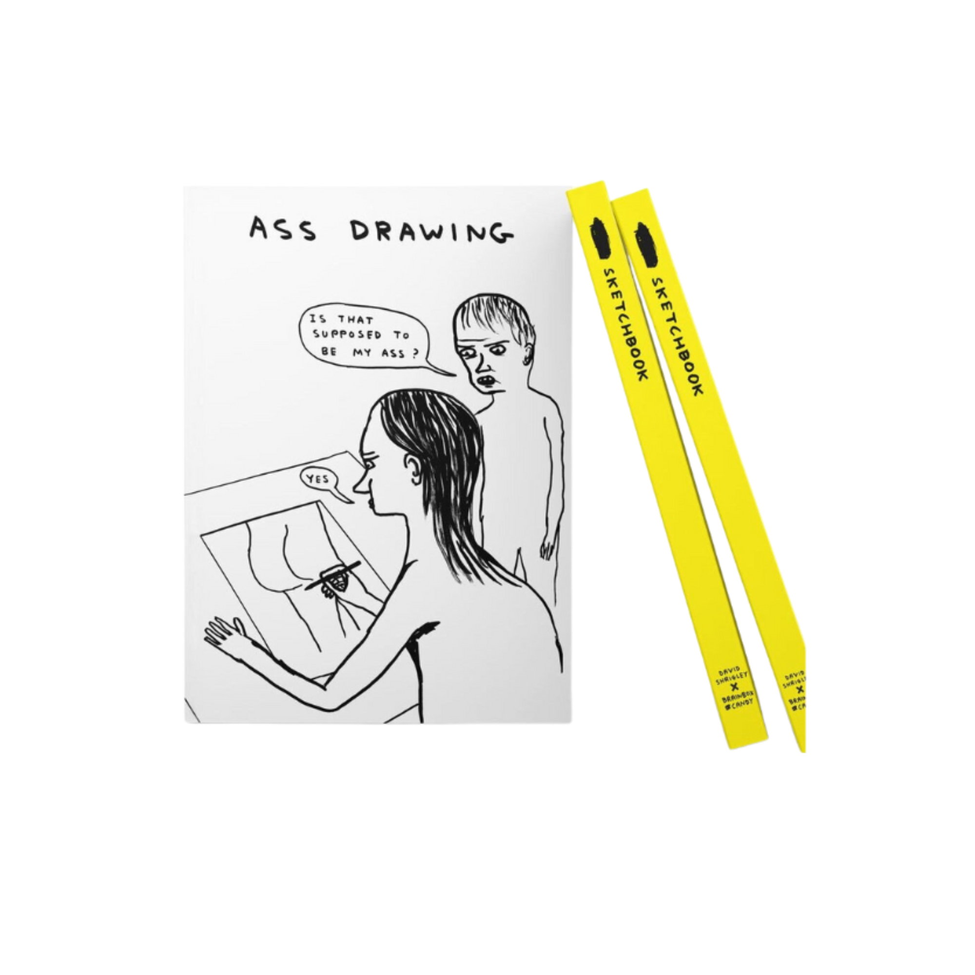 David Shrigley 'Art' Series A5 Sketchbooks