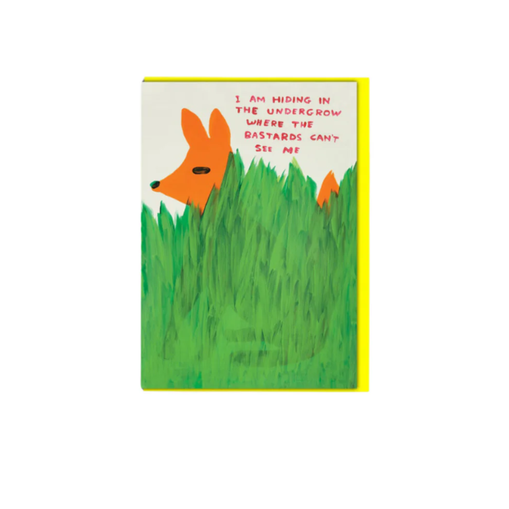 David Shrigley I am Hiding in the Undergrow Greeting Card