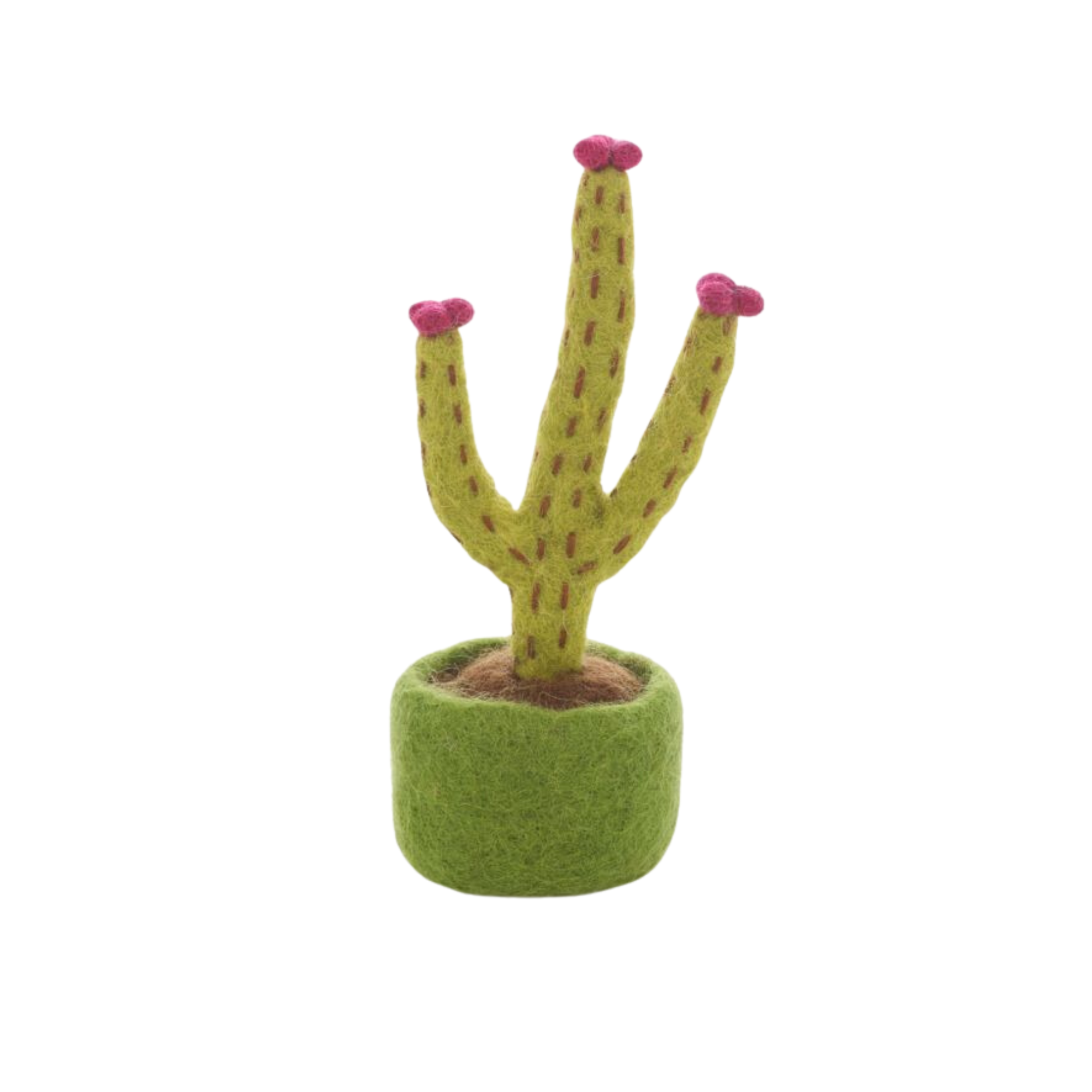 Felt Miniature Plants