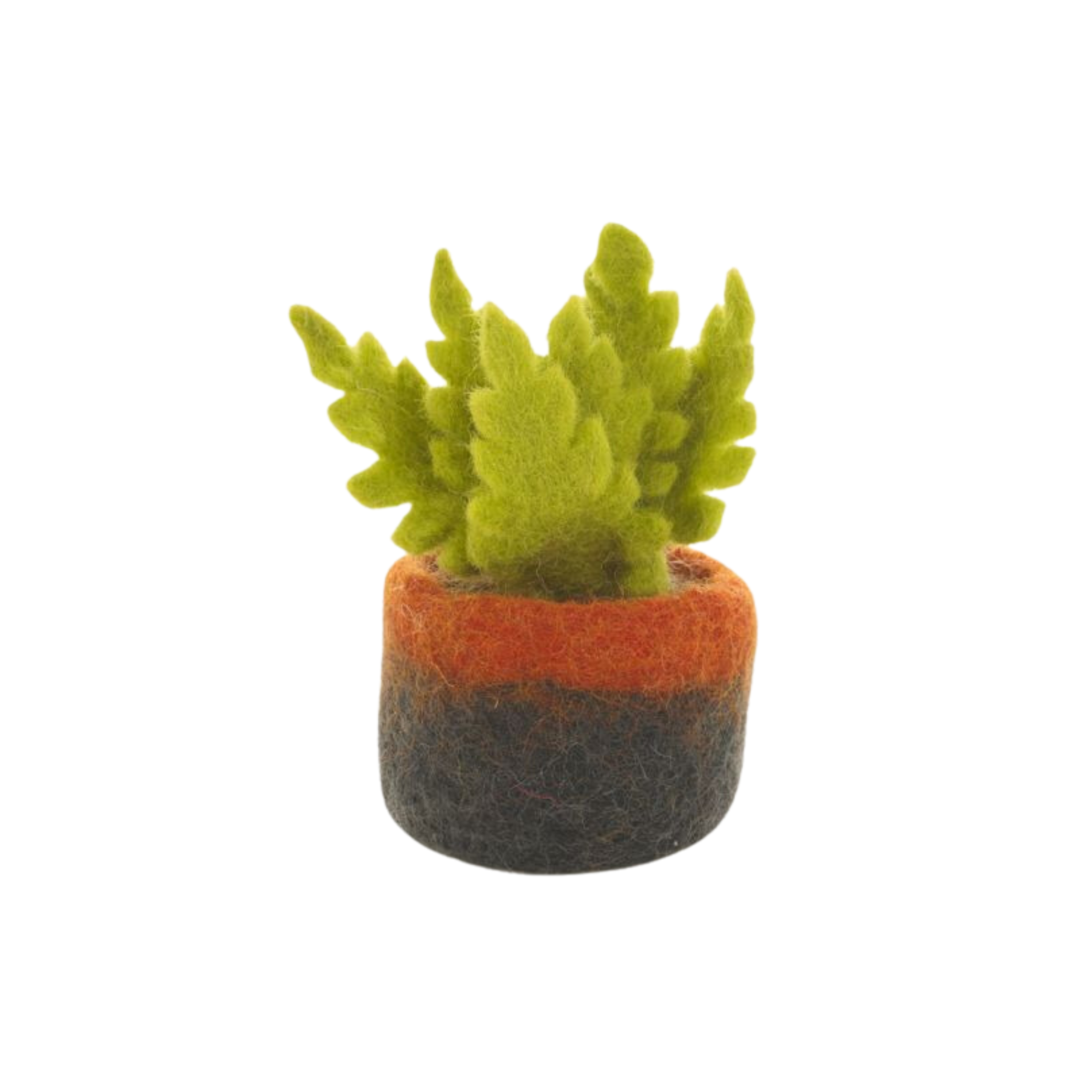 Felt Miniature Plants