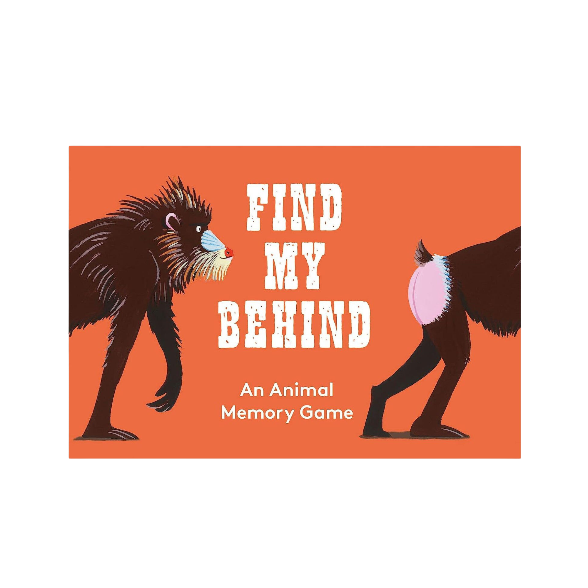 Find My Behind Memory Game