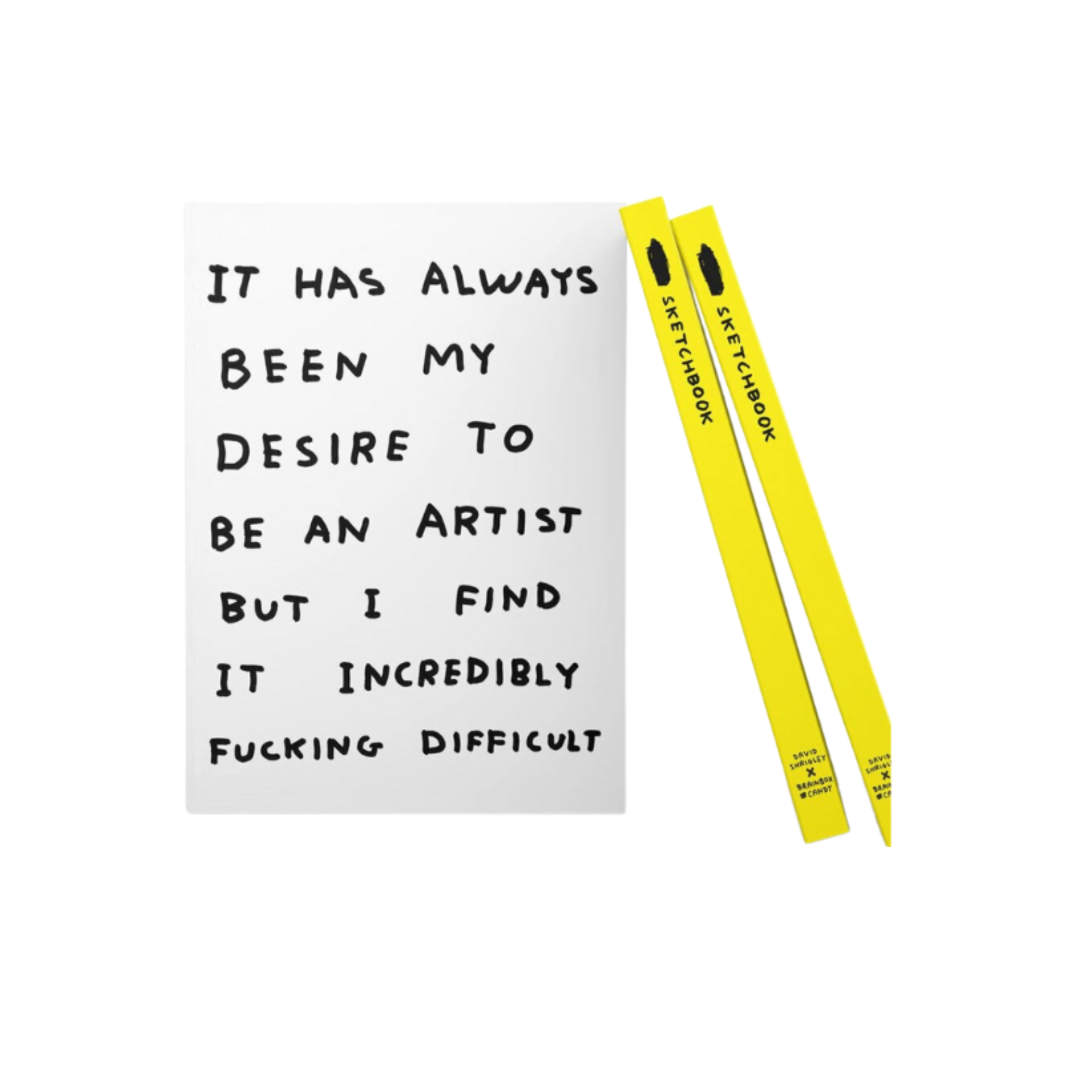 David Shrigley 'Art' Series A5 Sketchbooks