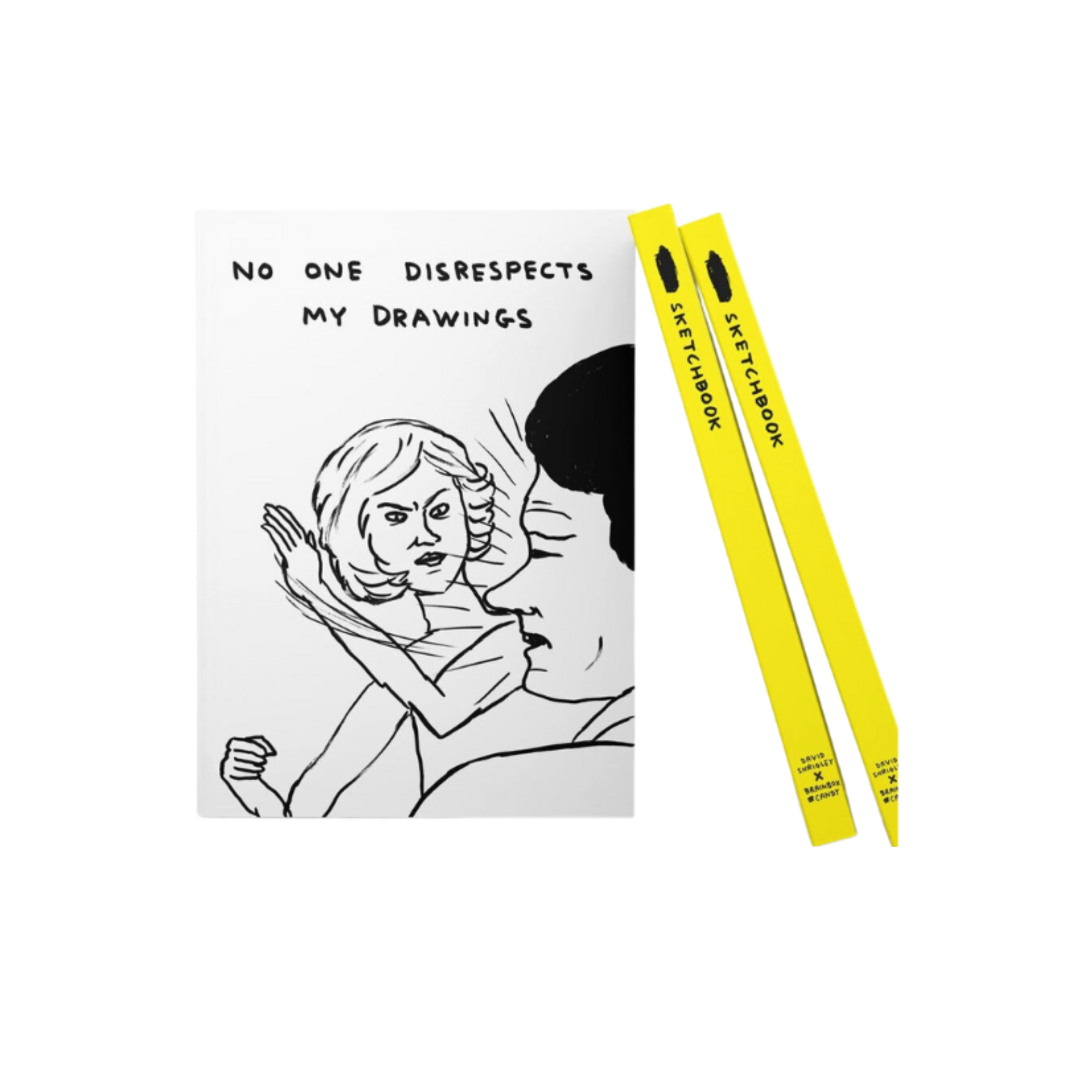 David Shrigley 'Art' Series A5 Sketchbooks