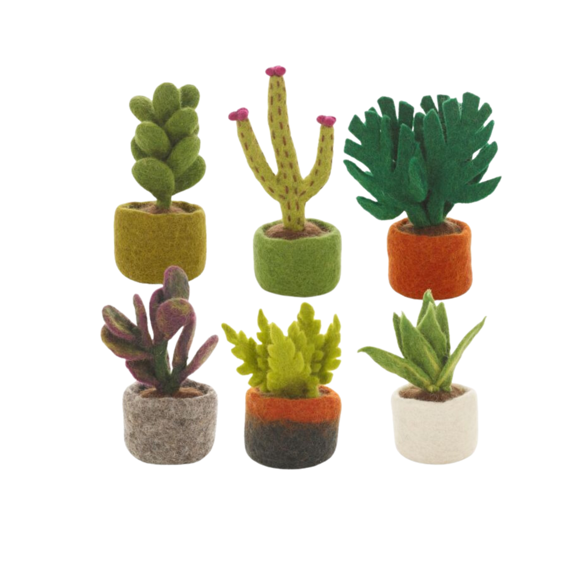 Felt Miniature Plants