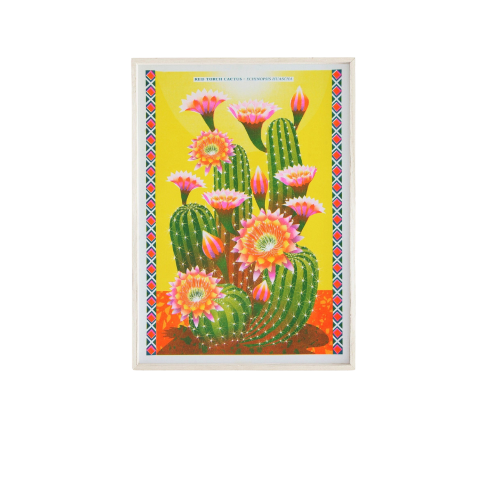 Printer Johnson Red Torch Cactus Print