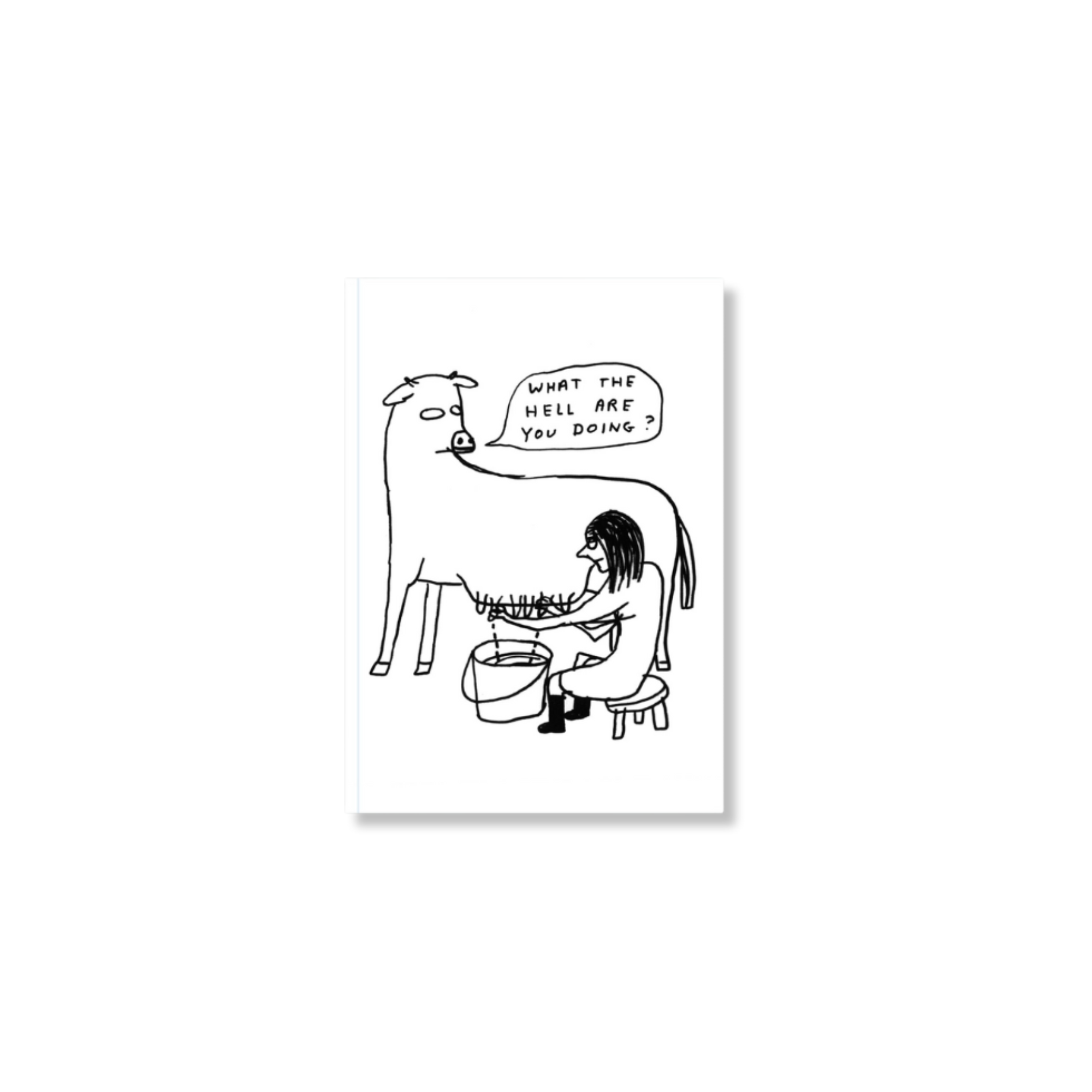 David Shrigley Notebooks