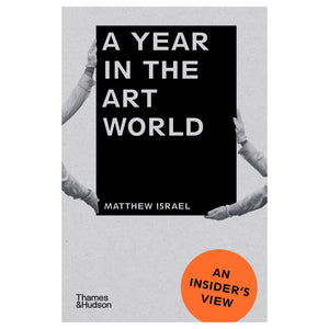 Matthew Israel A Year in the Art World