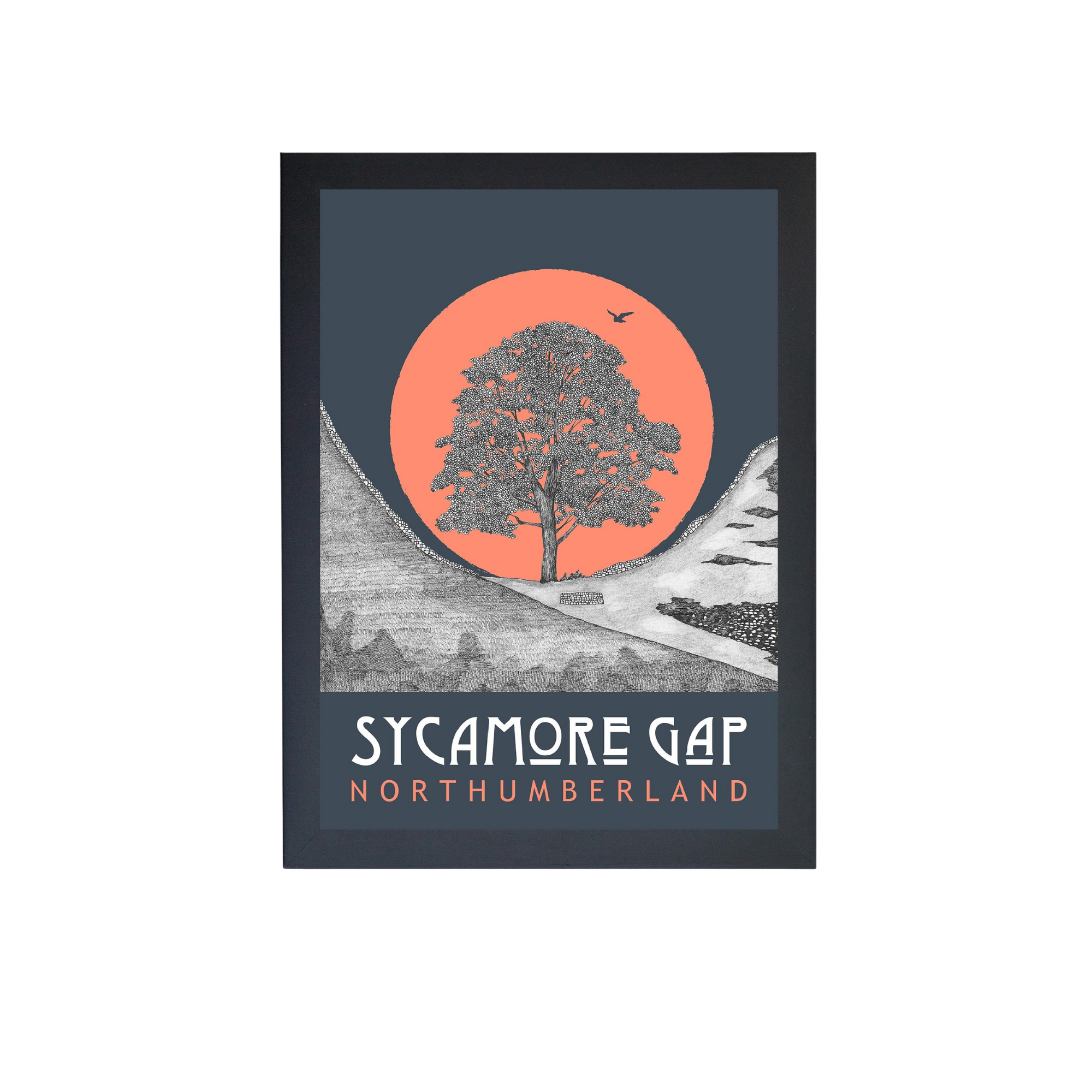 Ben Holland Sycamore Gap Print