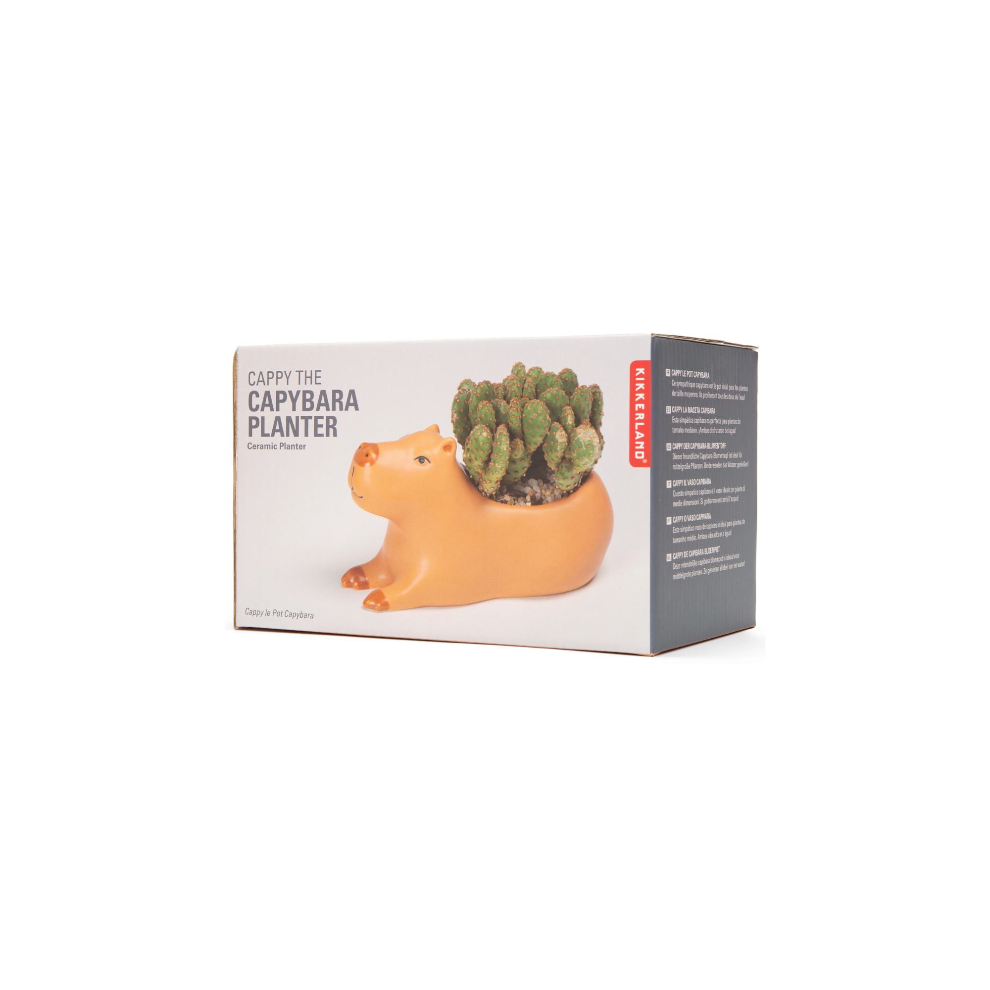 Cappy the Capybara Planter Box