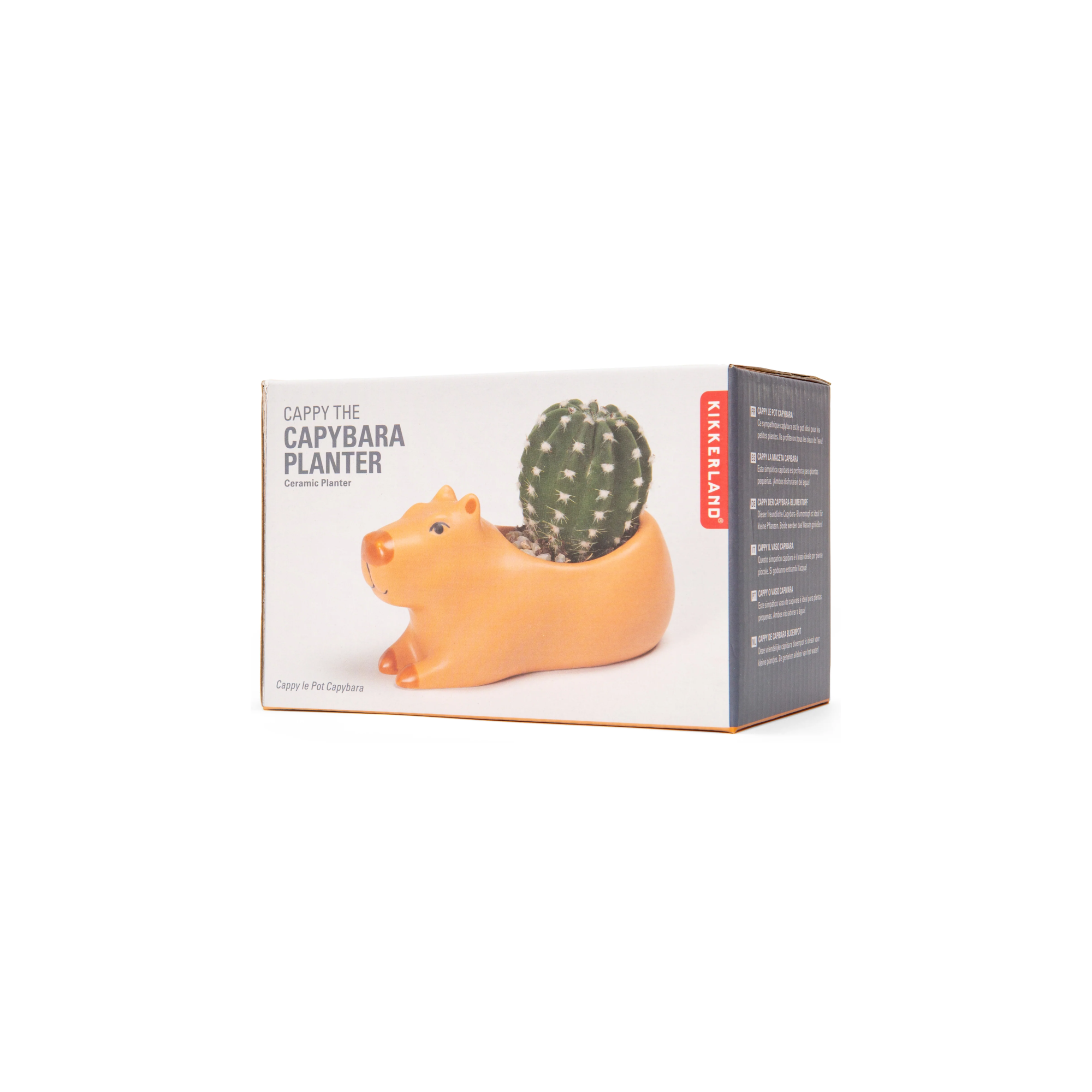Cappy the Capybara Small Planter Packaging