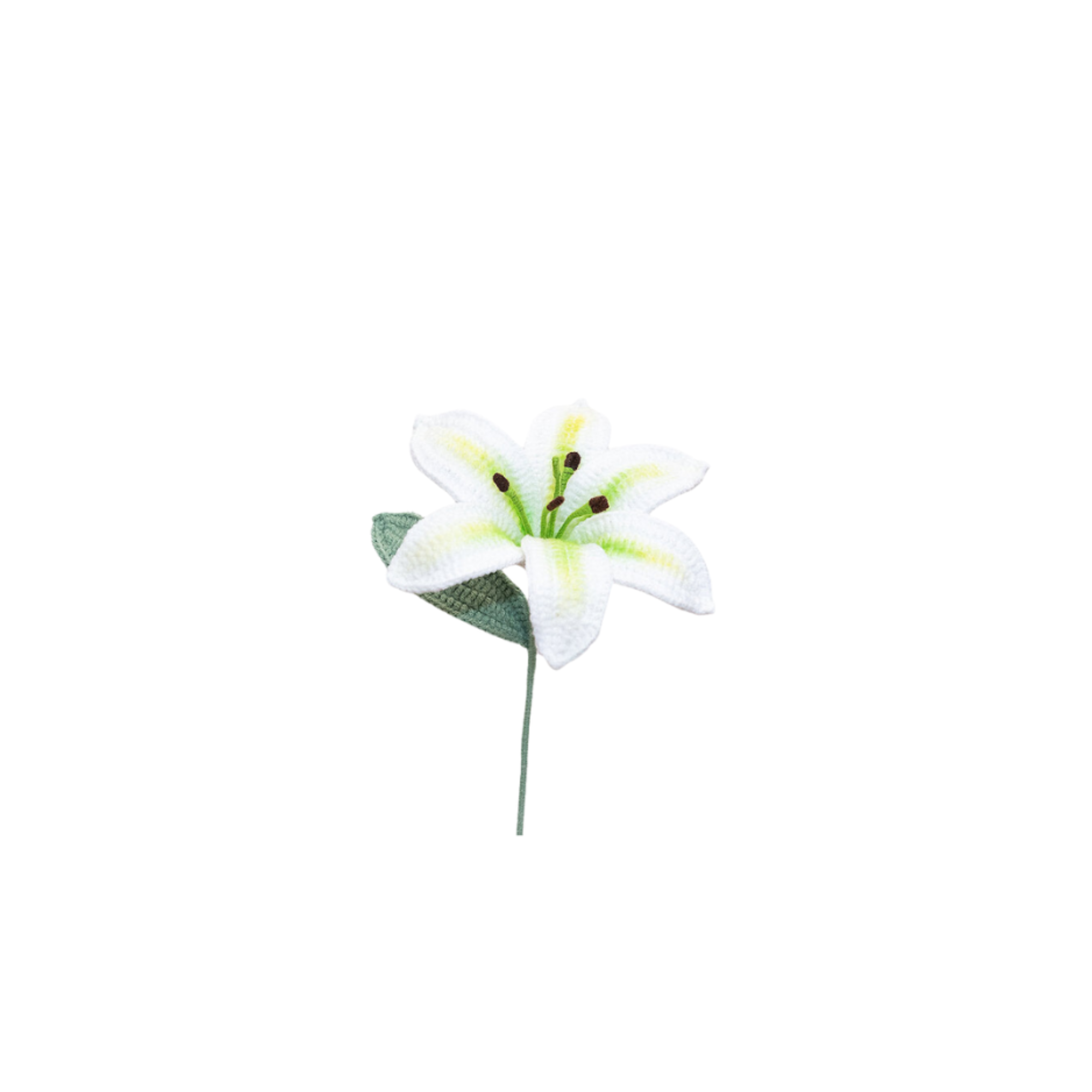 Corchet Flower White Yellow Green