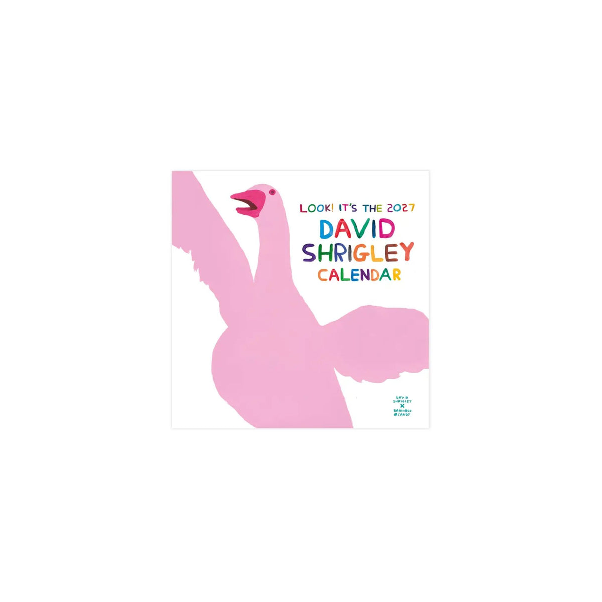 David Shrigley Calendar 2027