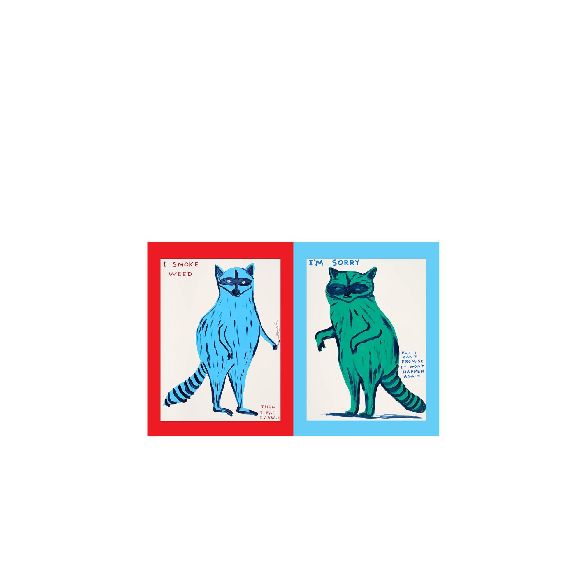 David Shrigley Get Your Shit Together Raccoon