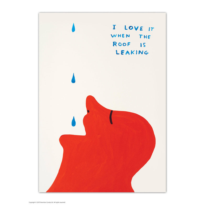 David Shrigley I Love it When the Roof is Leaking Postcard