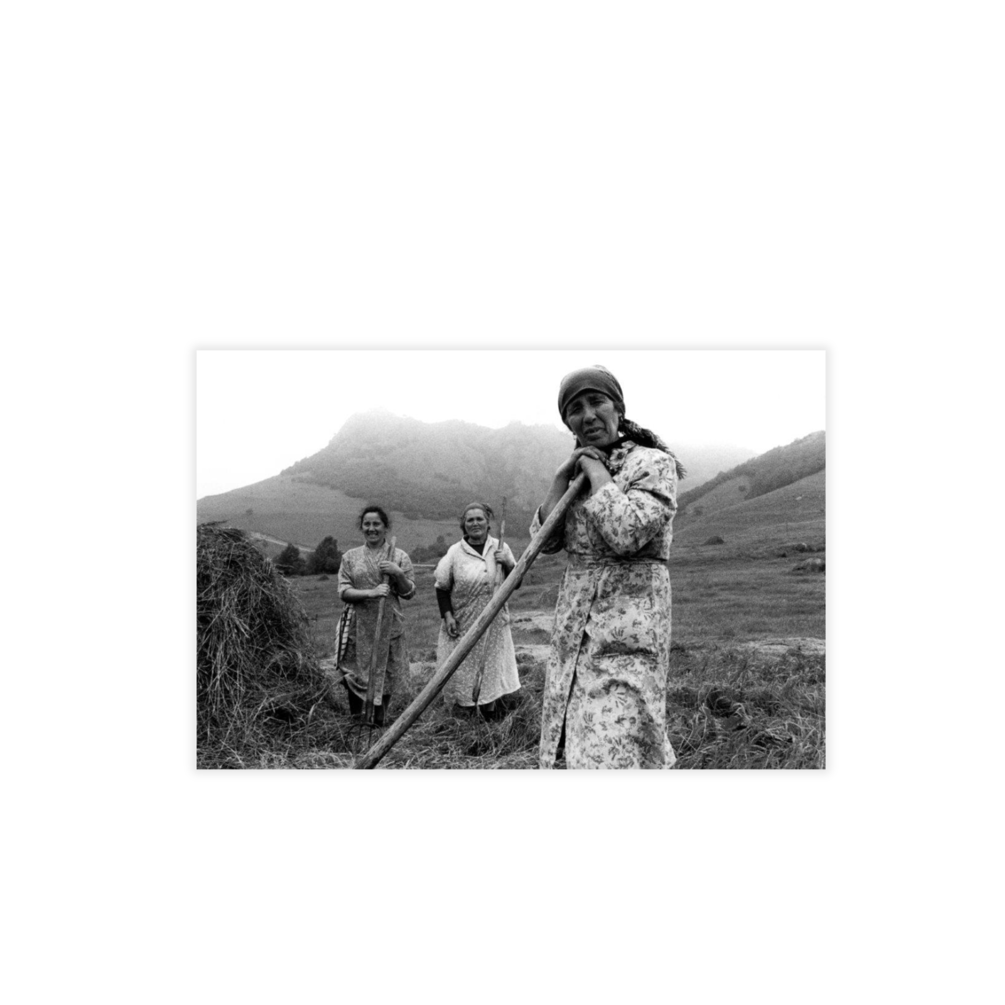 Franki Raffles: Photography, Activism, Campaign Works – Baltic Shop