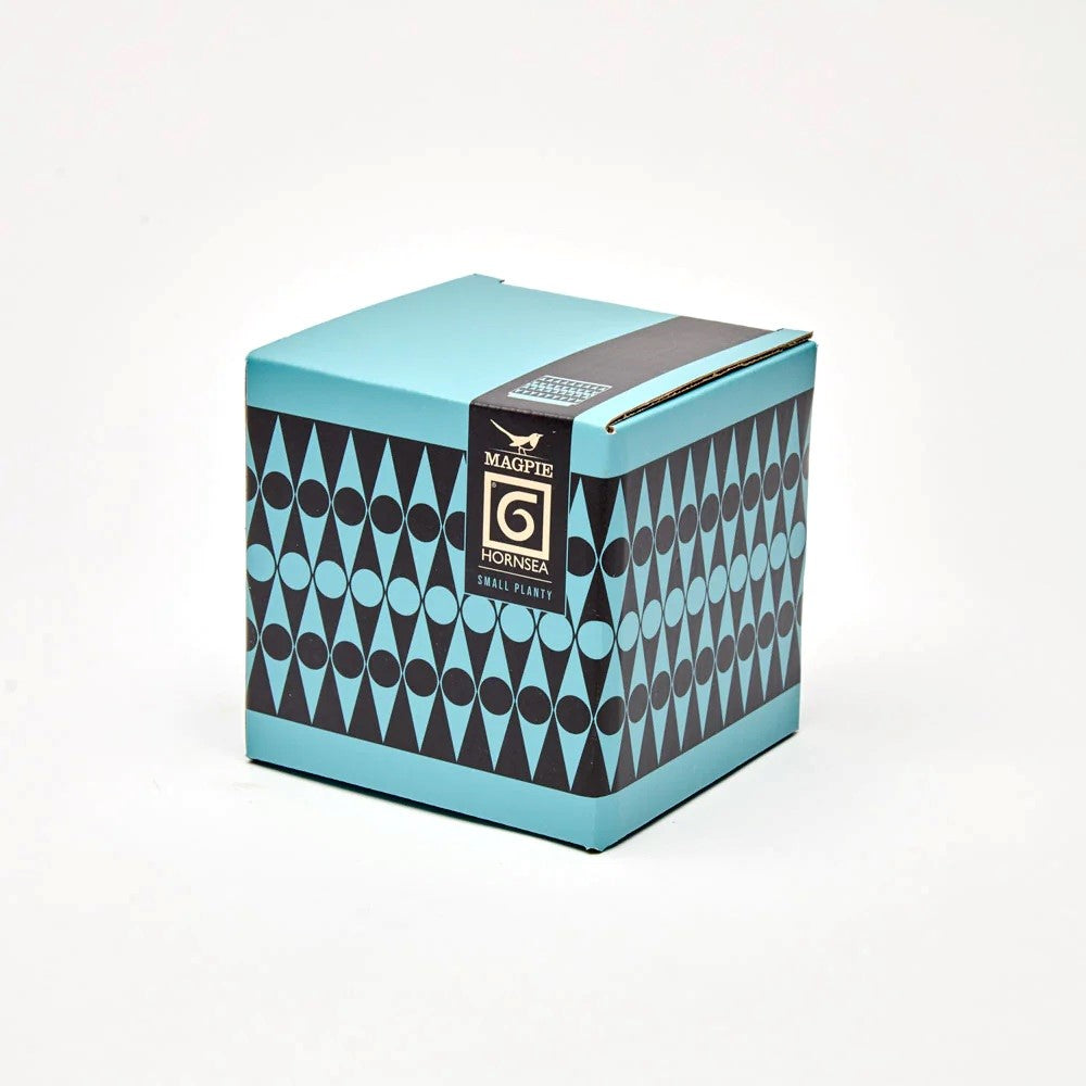 Hornsea Panty Small Backgammon Teal Box