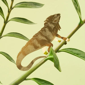 Large Brass Iguana Plant Animal
