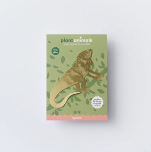 Large Brass Iguana Plant Animal Packaging