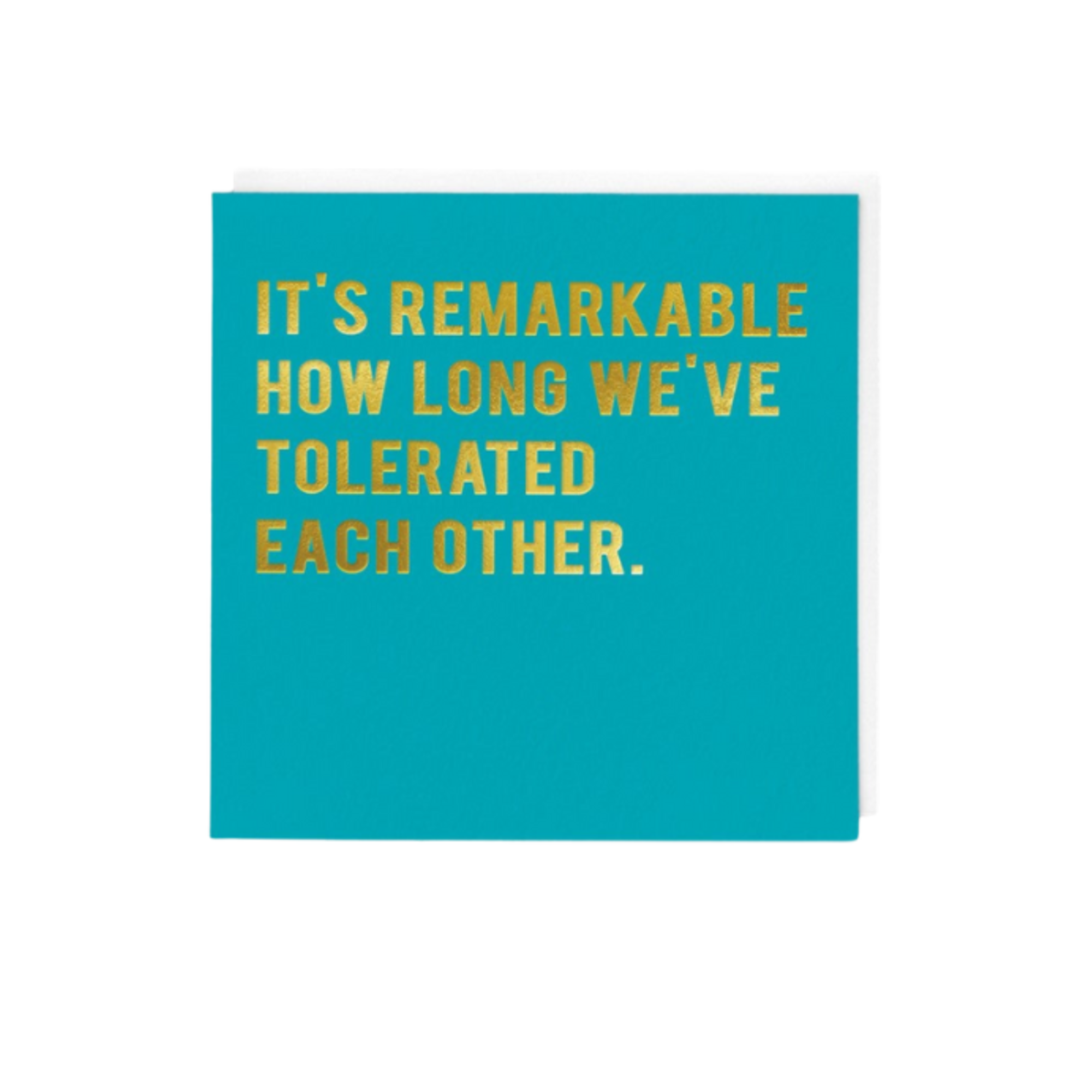 It's Remarkable How Long We've Tolerated Each Other Greeting Card