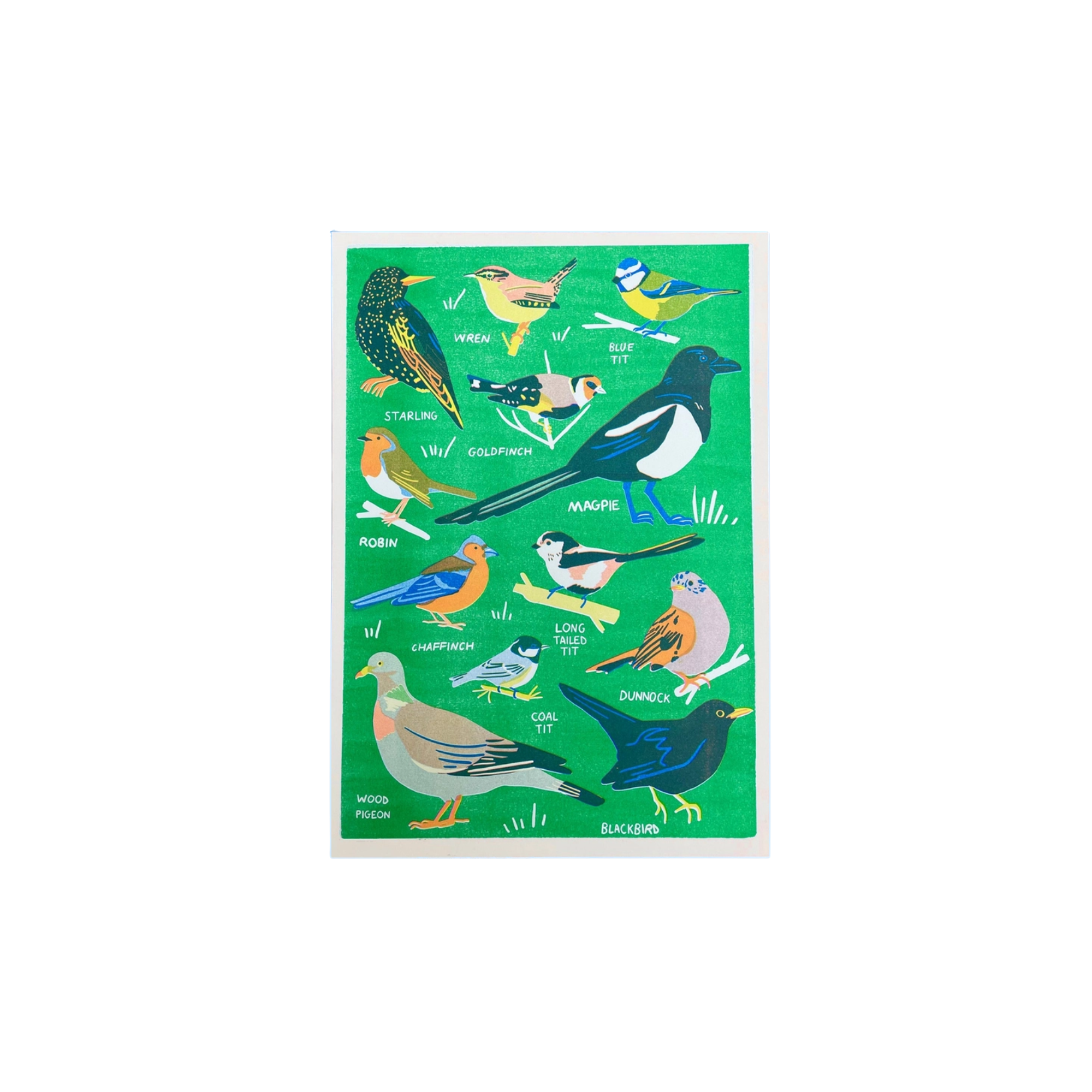 Naomi Wilkinson Illustration Garden Birds Riso Print