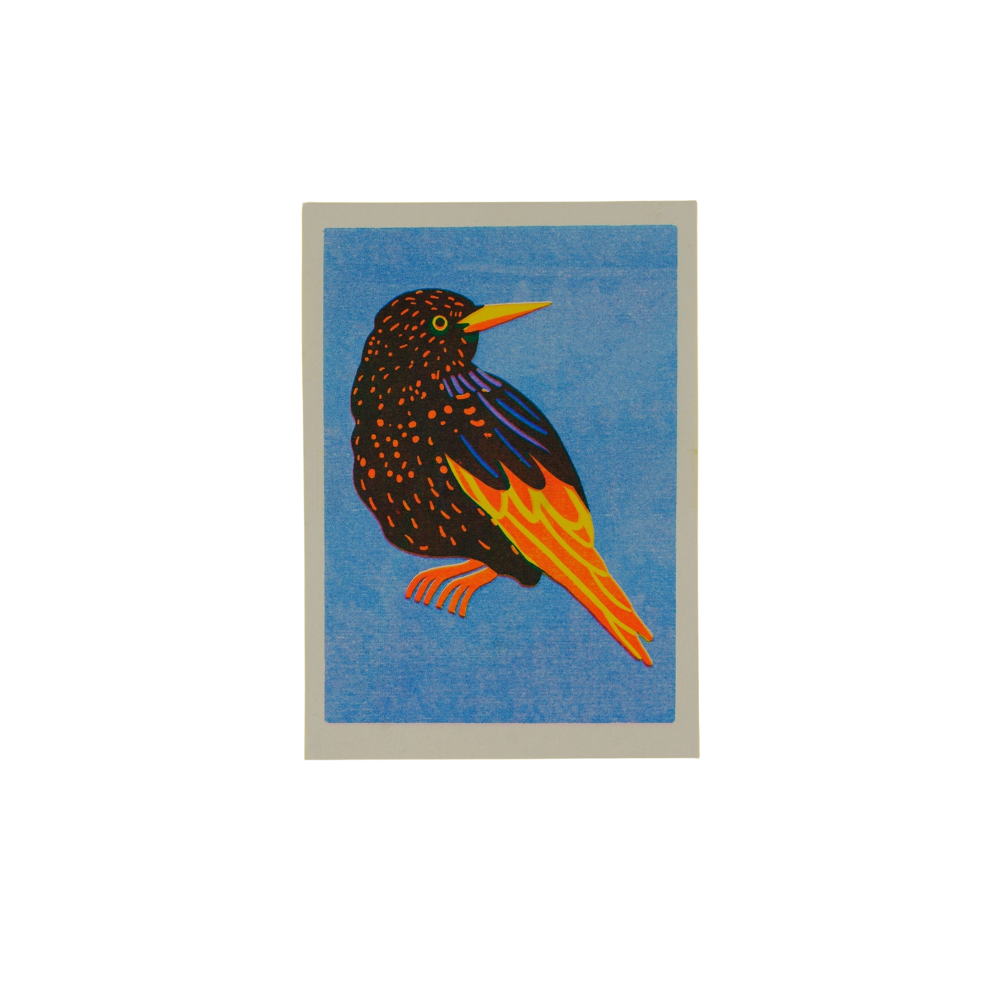 Naomi Wilkinson Illustration Starling Mini Riso Print A5
