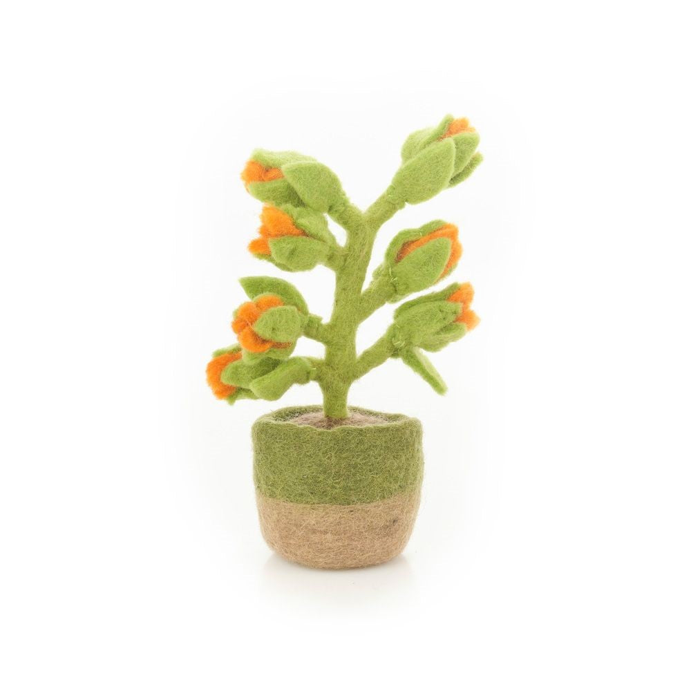 Felt Orange Bloom Plant