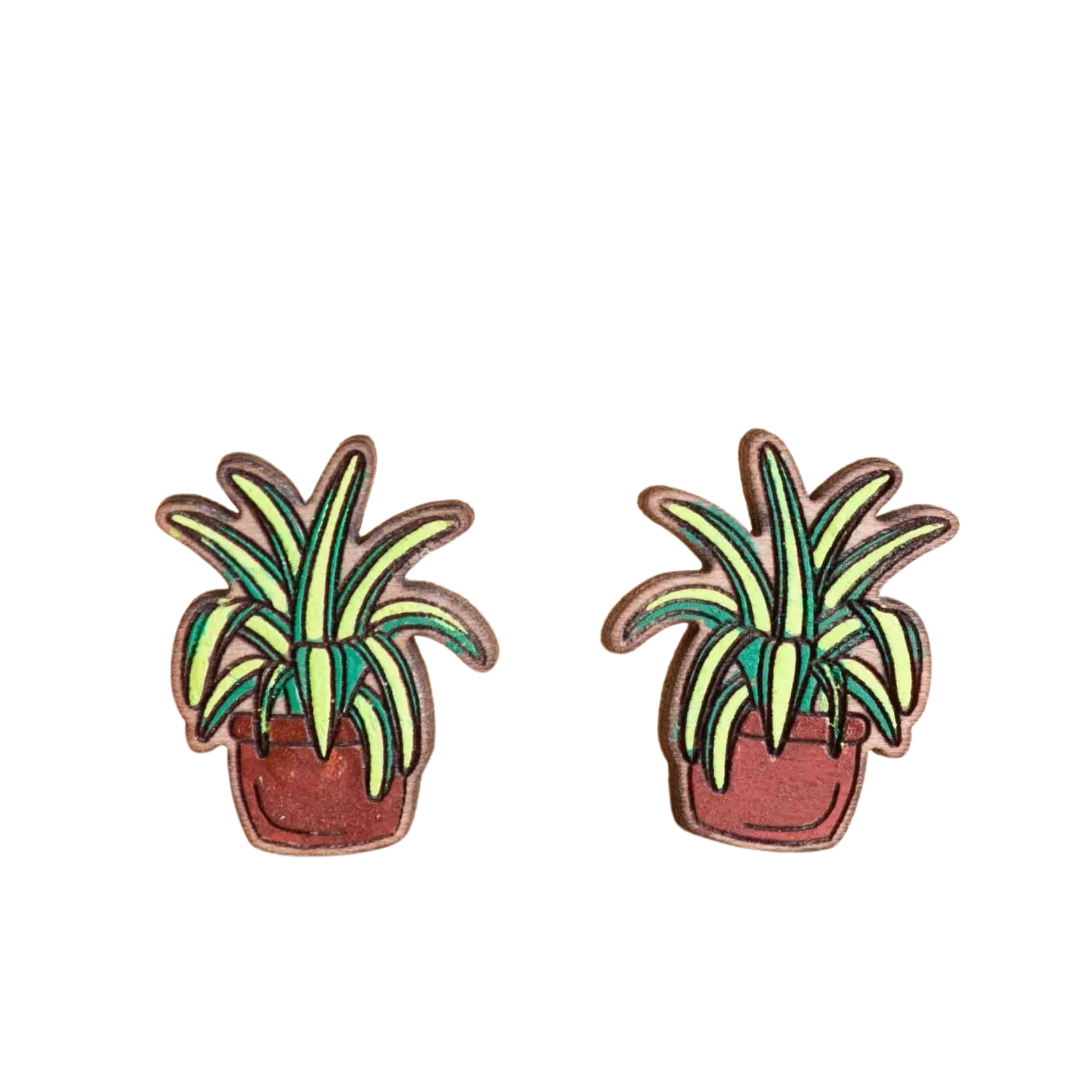 Robin Valley Spider Plant Earrings