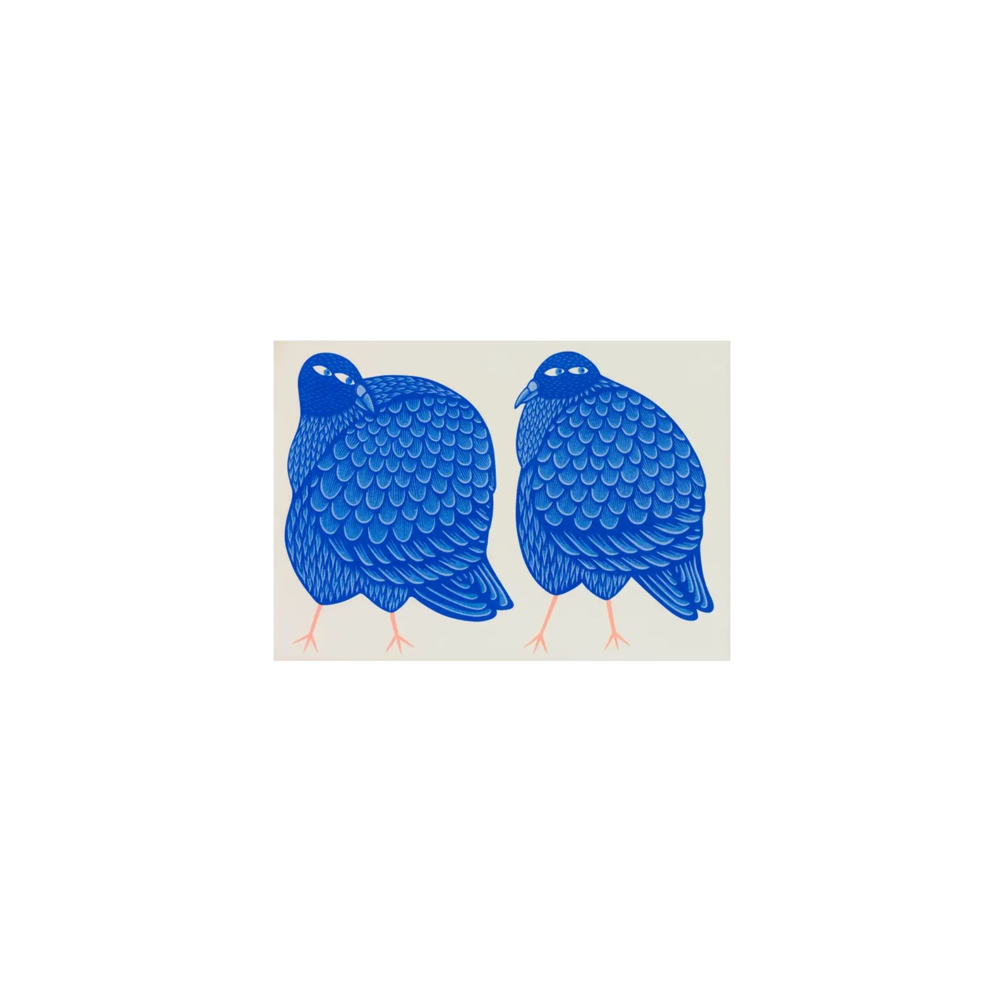 Strangford Pigeon Fancier A3 Print