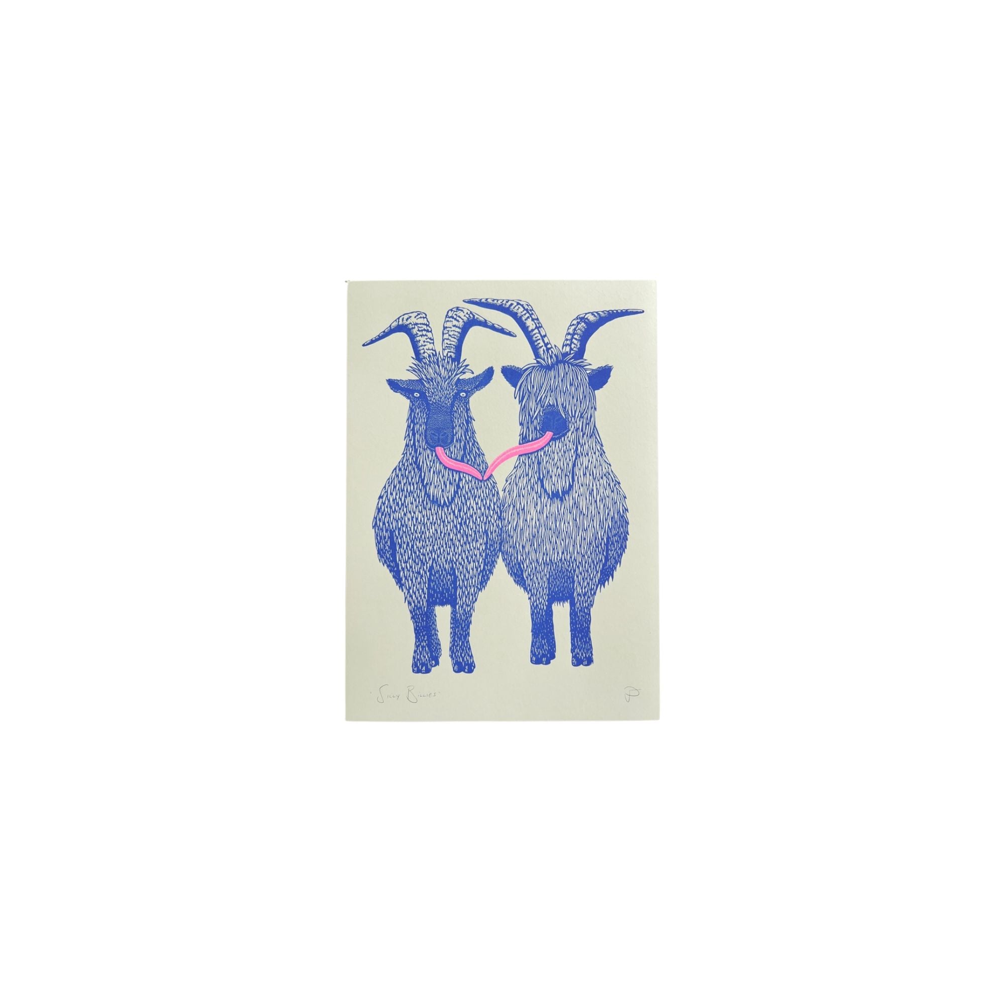Strangford Silly Billies A3 Print