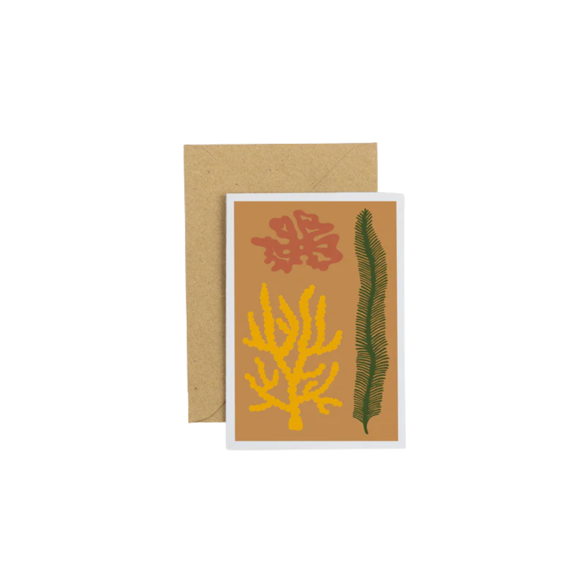 Studio Wald Seaweed Greeting Card