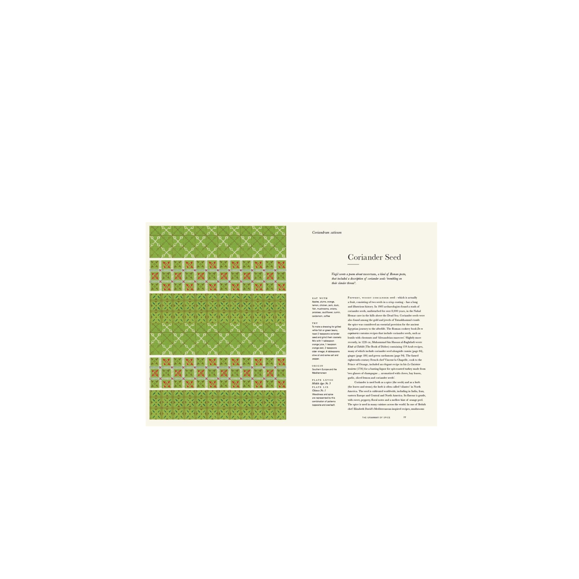 The Grammar of Spice Coriander Seed