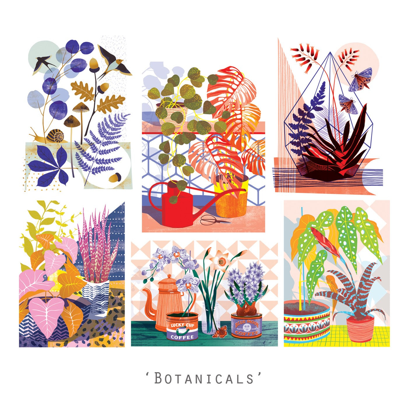 Printer Johnson Botanicals Postcard Pack