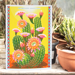 Red Torch Cactus A3 Risograph Print
