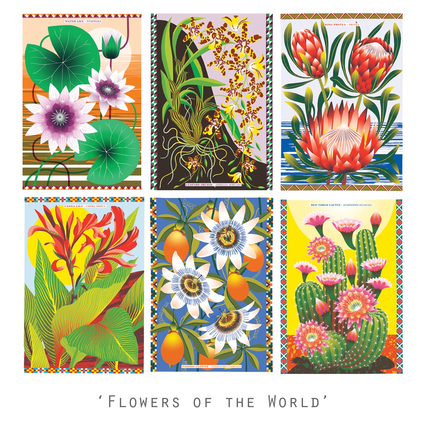Flowers of The World Postcard Pack