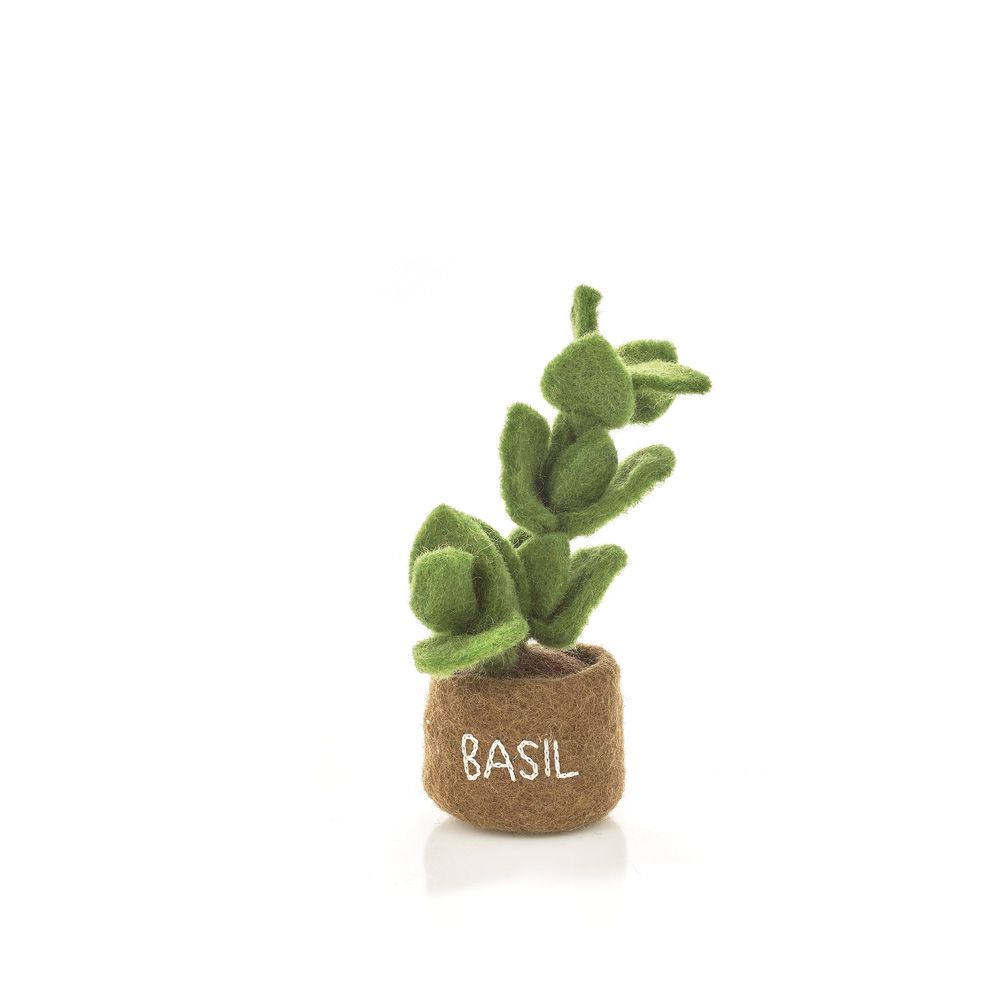 Felt So Good Potted Basil Plant