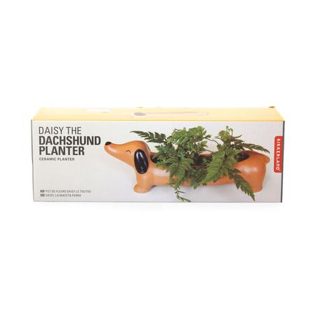 Daisy the Dachshund Planter Box