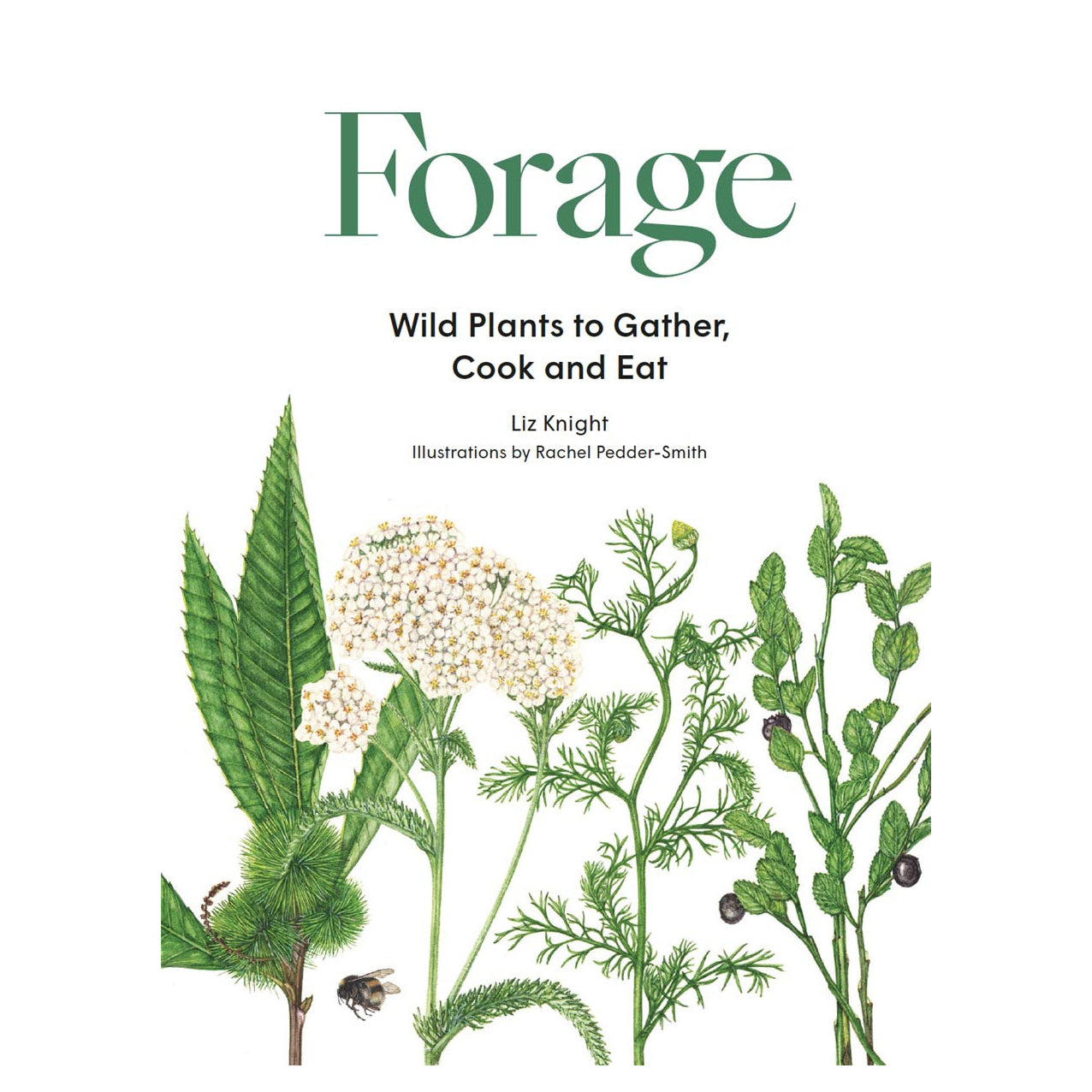 Forage Wild Plants to Gather, Cook and Eat