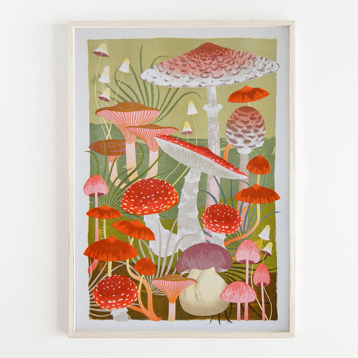 Printer Johnson Fungi A3 Print