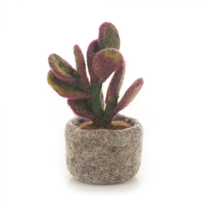Felt Miniature Plant Fiscus Elastica