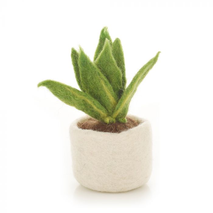 Felt Miniature Plant Sansiveria