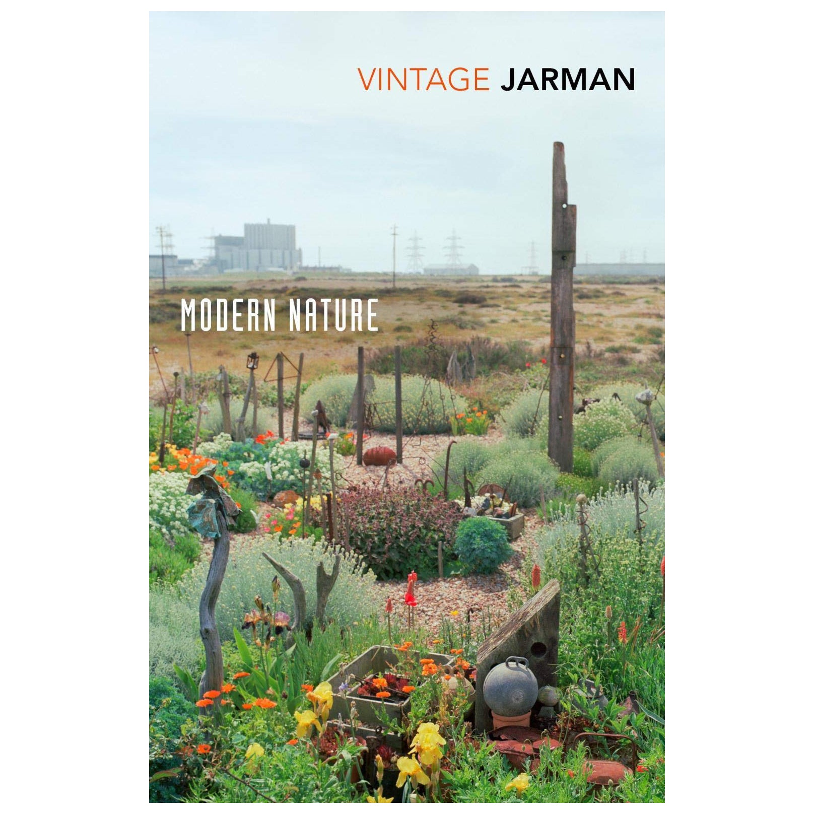 Derek Jarman Modern Nature