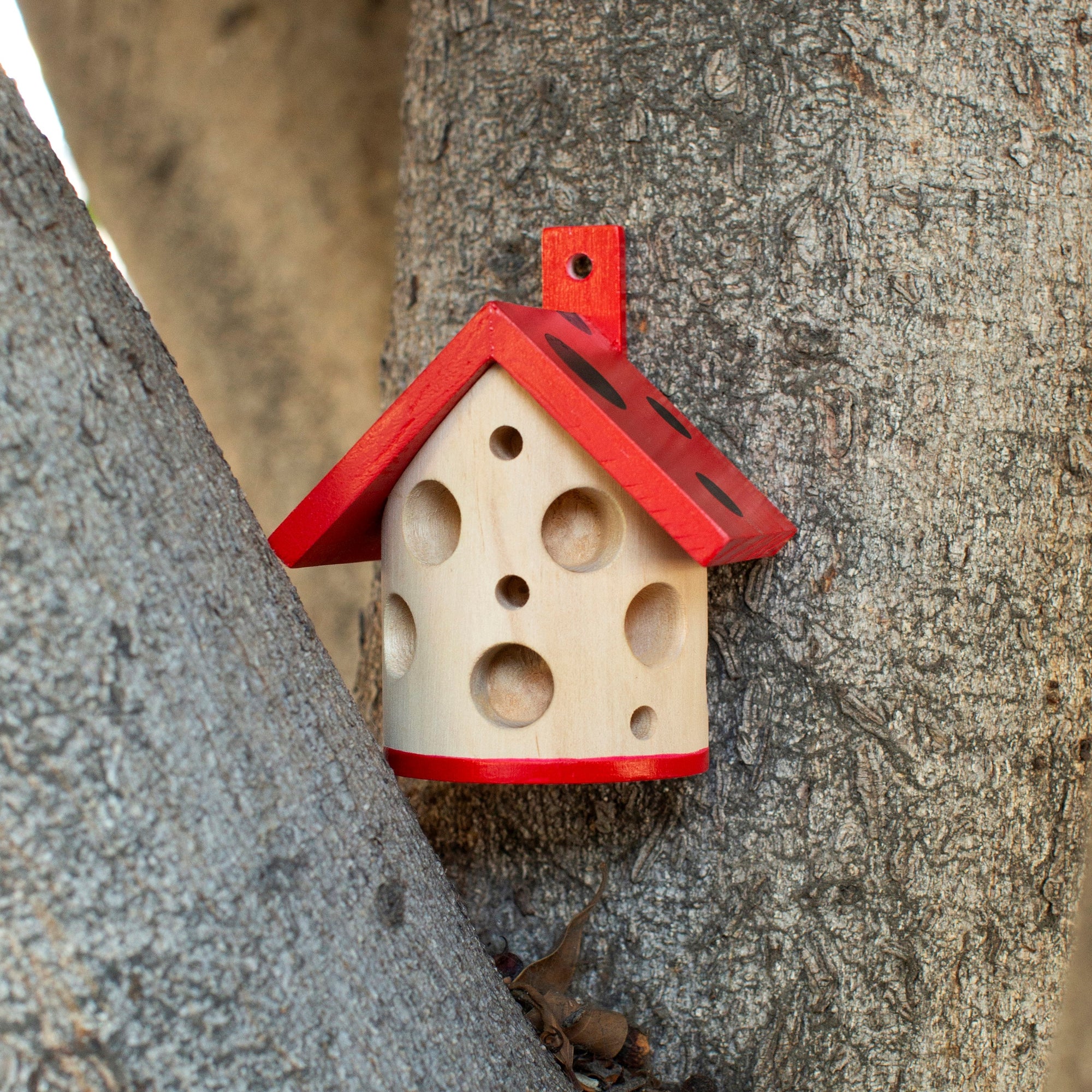 Ladybug House in Tree