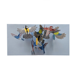 Pop Out Birds Greeting Card